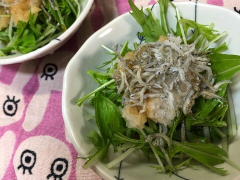 ⭐️簡単‼美味しい⭐️水菜おろしサラダ